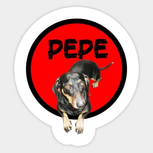 Pepe Dog Dachshund Sticker